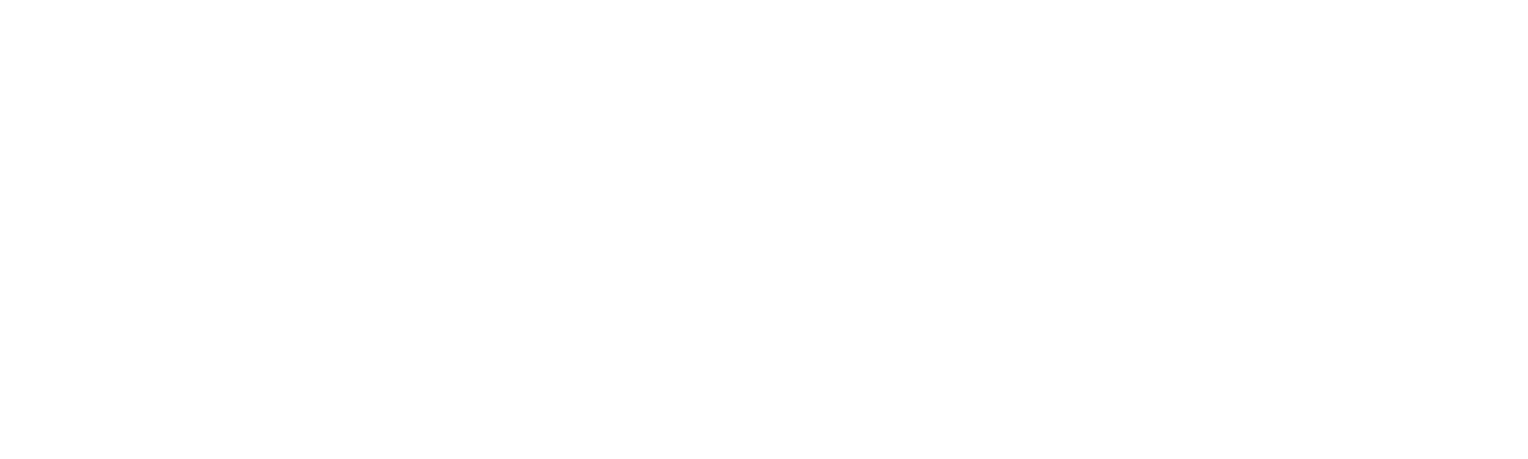 logo nerobi indie game